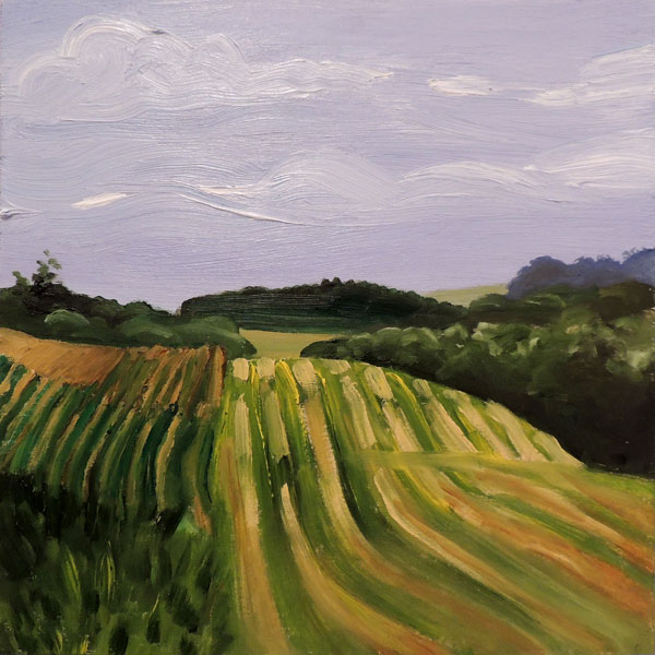 Lavers-South-Fields